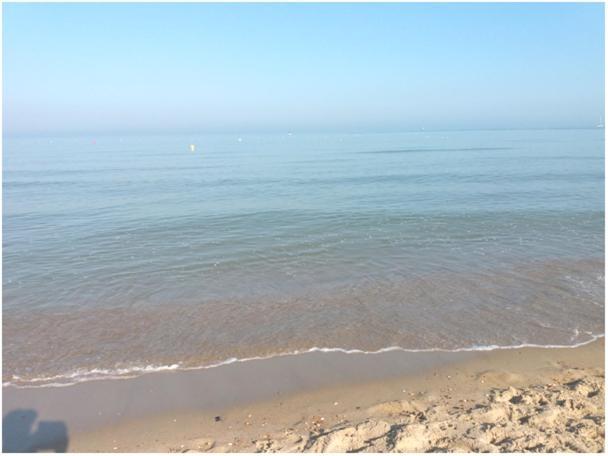 Marjori Oostende Met Gratis Parkeerplaats Exterior photo